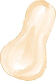 Winter Squash Clipart