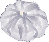 Purple Squash Clipart