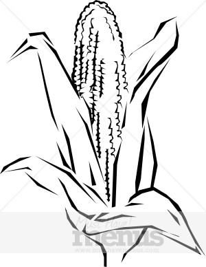 Corn Cob Clipart
