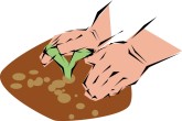Planting Clipart
