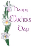 Orchids with Happy Mother's Day