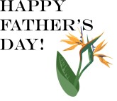 Happy Father's Day with Birds of Paradise