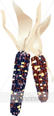 Indian Corn Clipart