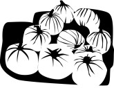 Pumpkin Harvest Clipart