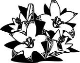 Easter Lilies Clipart