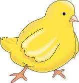 Chick Clipart