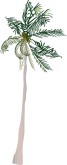 Palm Tree Clipart