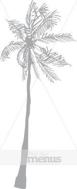 Palm Clipart