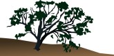 Oak Tree Clipart