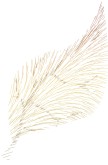 Artistic Leaf Accent