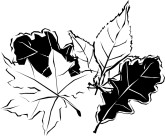 Leaf Clipart