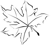 Maple Leaf Clip Art