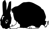 Bunny Clipart