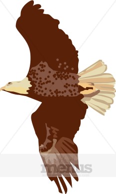 Bald Eagle Clipart