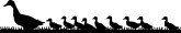 Ducks Clipart