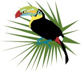 Toucan Clipart
