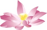 Lotus Clipart