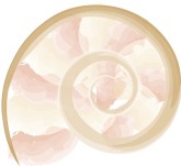 Snail Shell Clipart