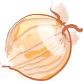 Onion Clipart