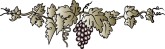 Grapes on the Vine Accent