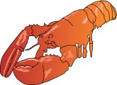 Lobster Clipart