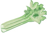 Celery Clipart