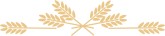 Stalks of Wheat Flourish