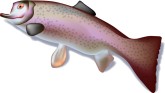 Trout Clipart