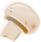 Crimini Clipart