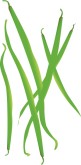 String Beans Clipart