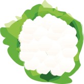 Cauliflower Clipart