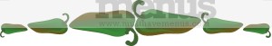 Hot Chili Clipart