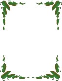 Spicy Green Chili Frame