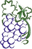 Grapes Clipart
