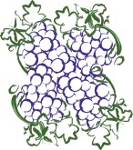 Grape Bunch Clipart