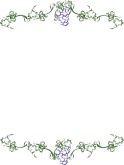 Grapevine Border