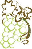 White Grapes Clipart