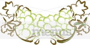 Green Grapes Clip Art