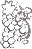 Bunch of Grapes Clipart
