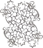 Grape Harvest Clipart
