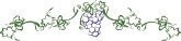 Grapevine Clipart