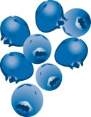 Blueberries Clipart