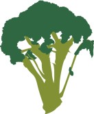 Broccoli Clipart