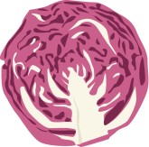 Red Cabbage Clipart