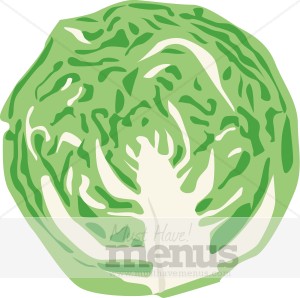 Cabbage Clipart