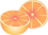 Orange Slice Clipart