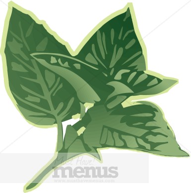 Basil Clipart