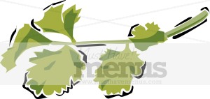 Italian Parsley Clipart