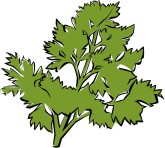 Parsley Clip Art