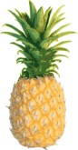 Pineapple Clip Art